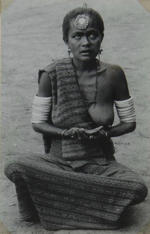 RV-A440-tt-186-333A .jpeg