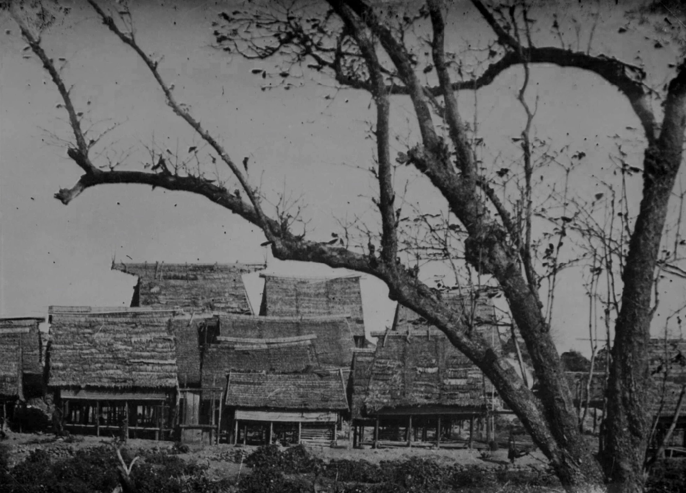 RV-A440-tt-179 .jpeg