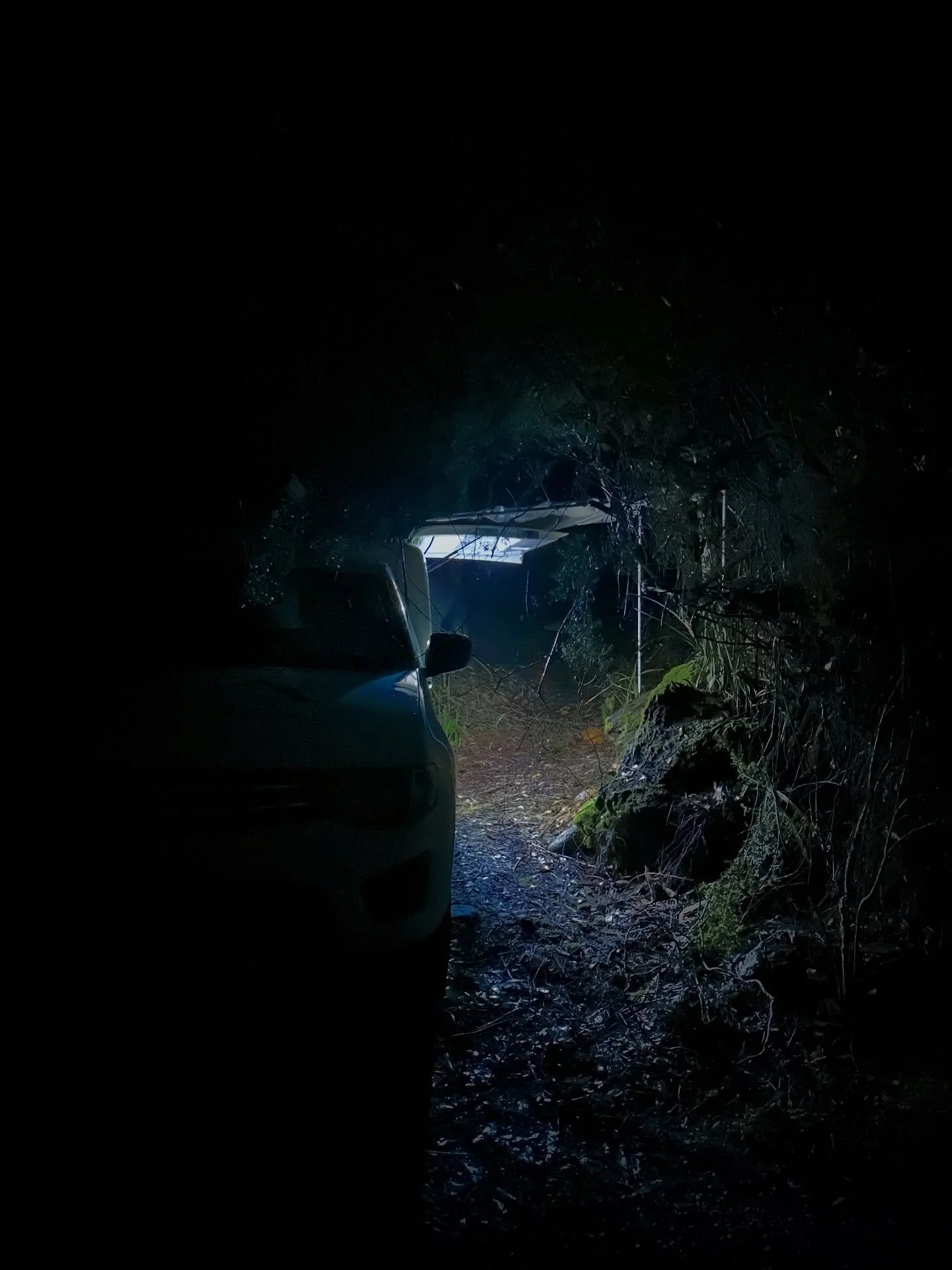 When you book an electrical job and it accidentally looks more like the next season of Alone&hellip; 🌧️⚡️

Thick rainforest, soggy campsites, rain coming in sideways&hellip; just another day for the T.O Electrical crew out at Rosebery as winter sets