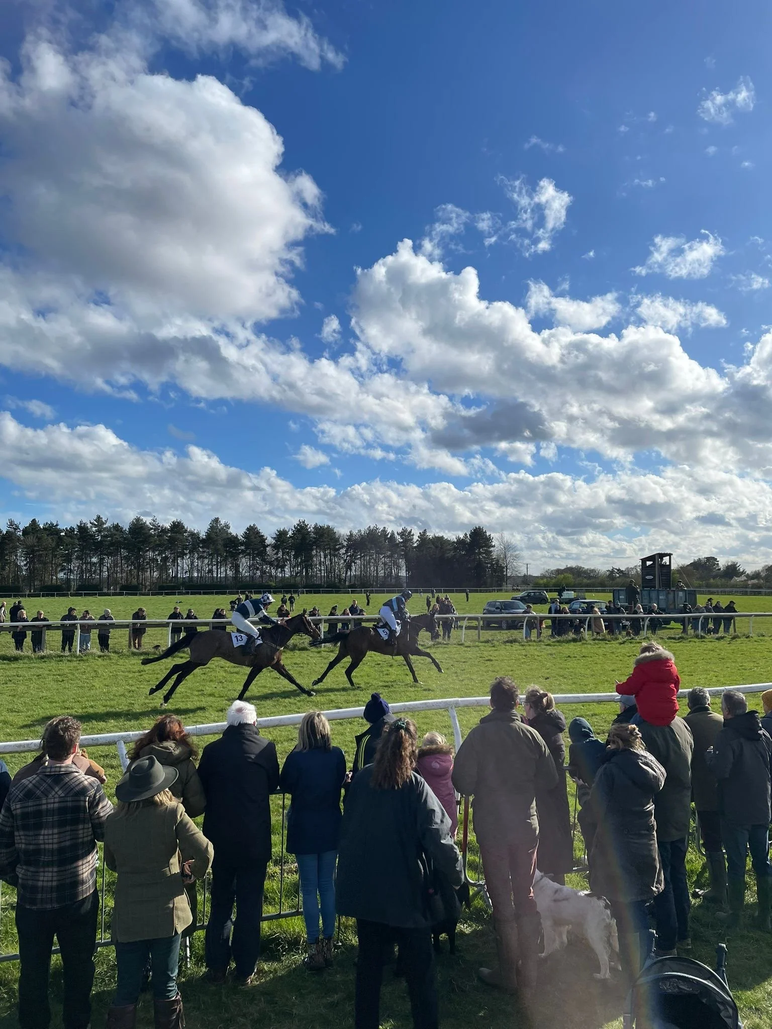 Higham Point to Point - visit us!
