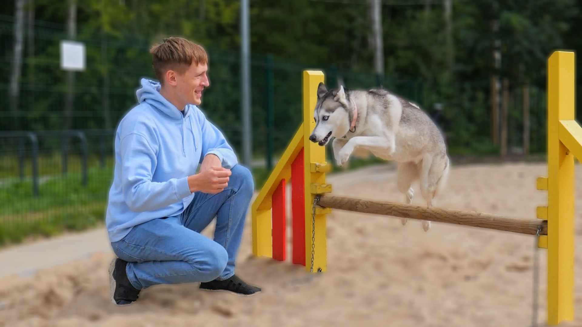 Is it possible to train a Husky?
