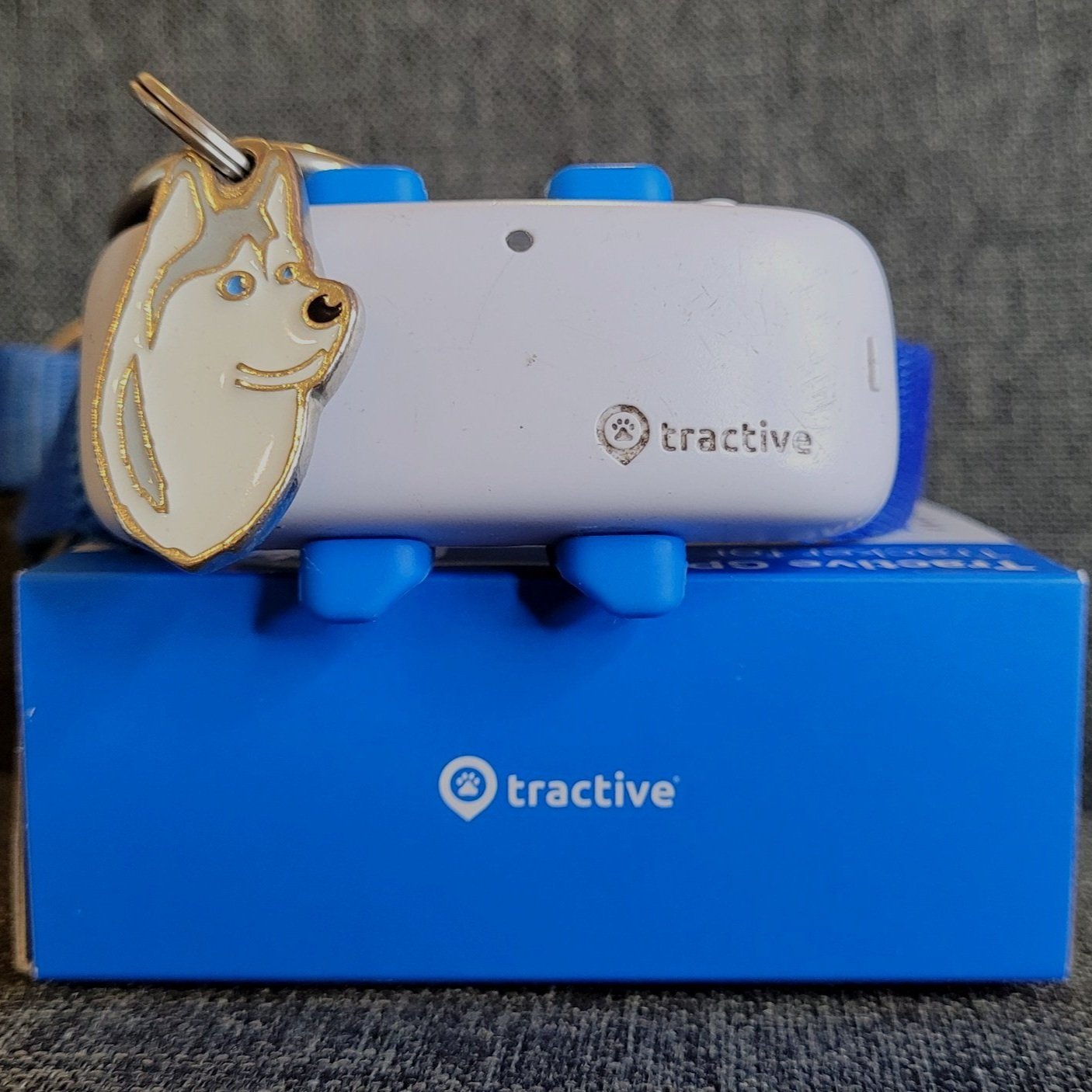Tractive - GPS dog tracker review