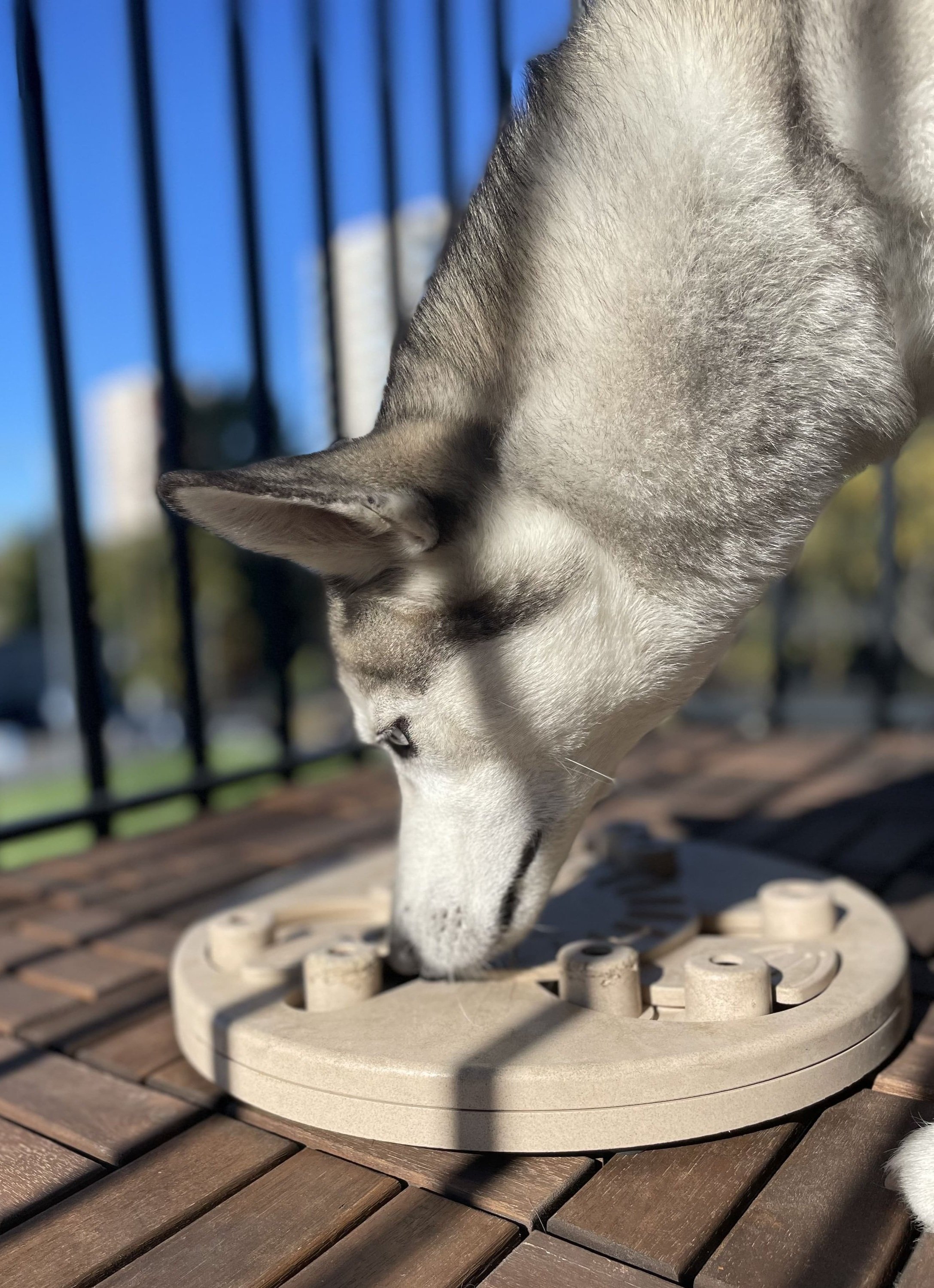 Review: Nina Ottosson Hide N'Slide Dog Enrichment Puzzle - Wear Wag Repeat