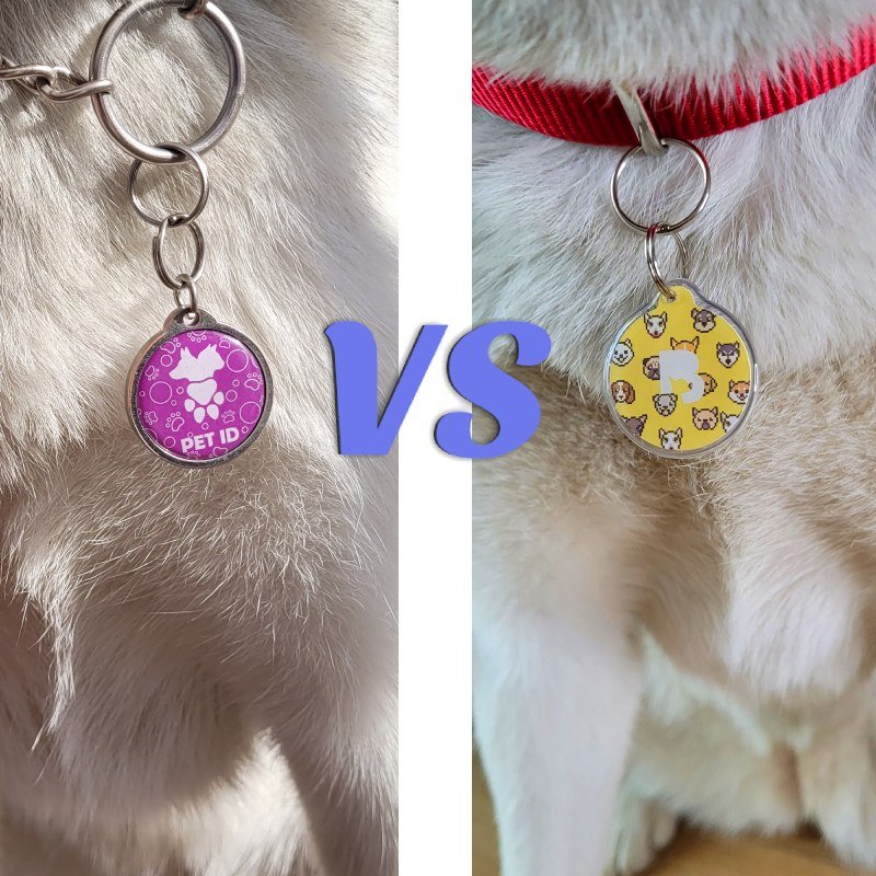Bark Badge/HeyBuddy vs Byte Tag
