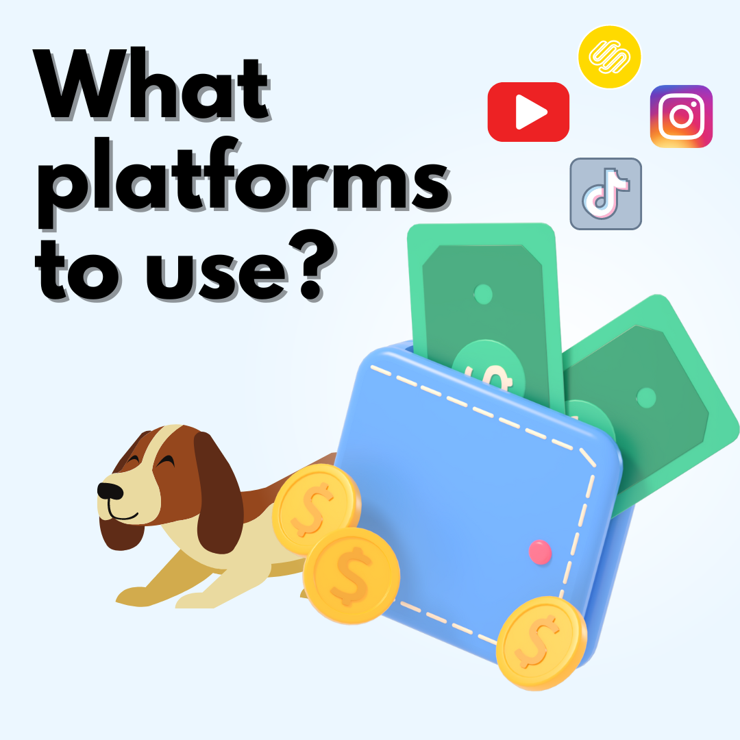 Where to earn with your dog