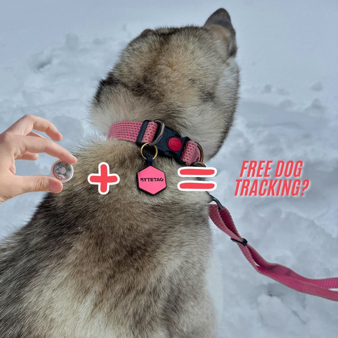 Free pet tracking - combine ByteTag and Apple AirTag