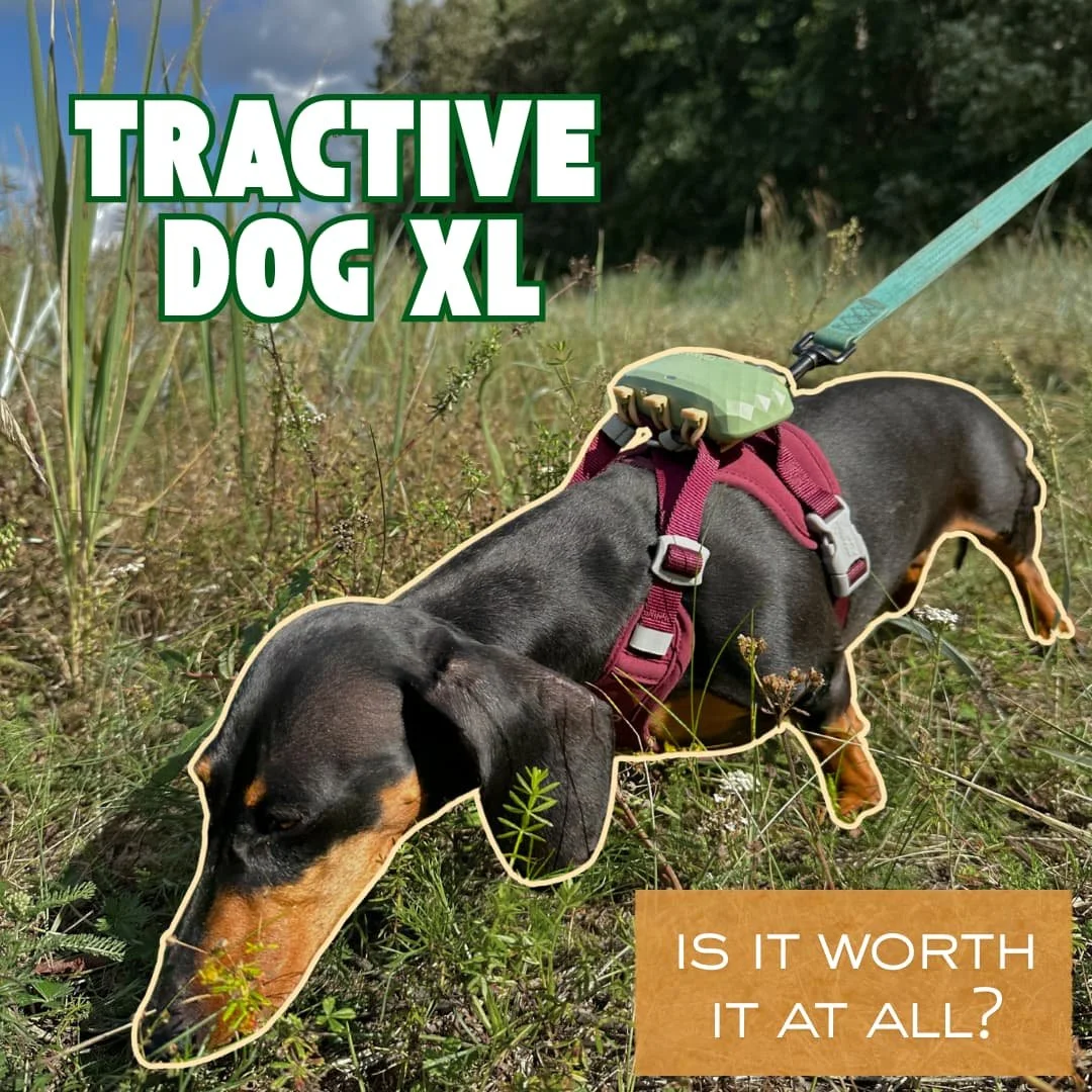 Tractive XL Review: Is Bigger Really Better for Your Dog?