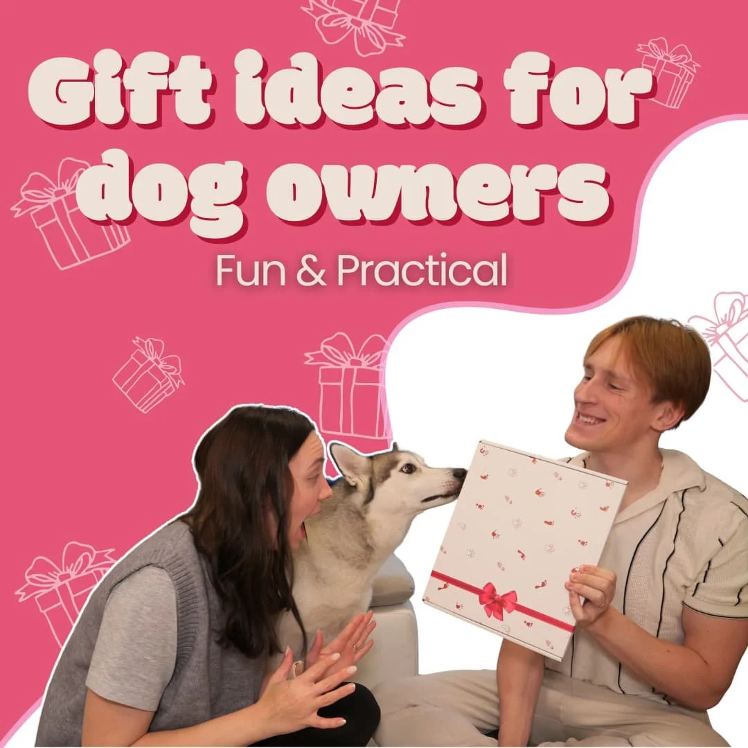 Best Gift Ideas for Dog Lovers