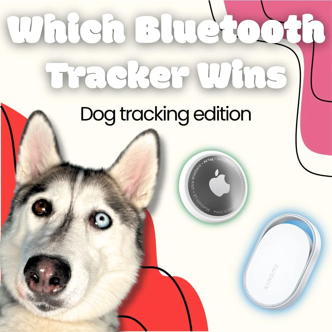AirTag 2 vs. Xiaomi Tag for Dogs: Which “Find My” Tracker Wins?