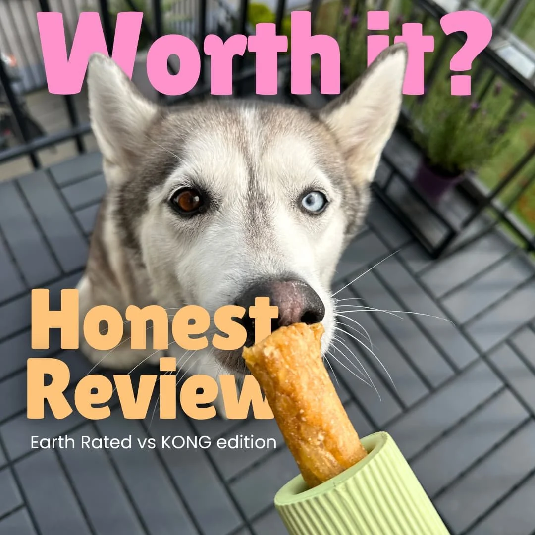 Earth Rated vs KONG: Which Durable Rubber Dog Toy Wins?