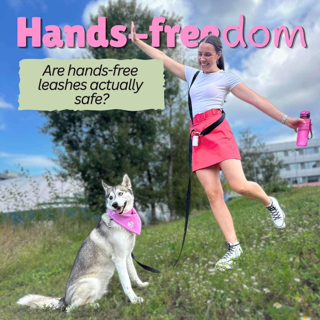 Are Hands-Free Leashes Safe? The Ultimate Dog Walking Leash FAQ (From Real Dog Owners)