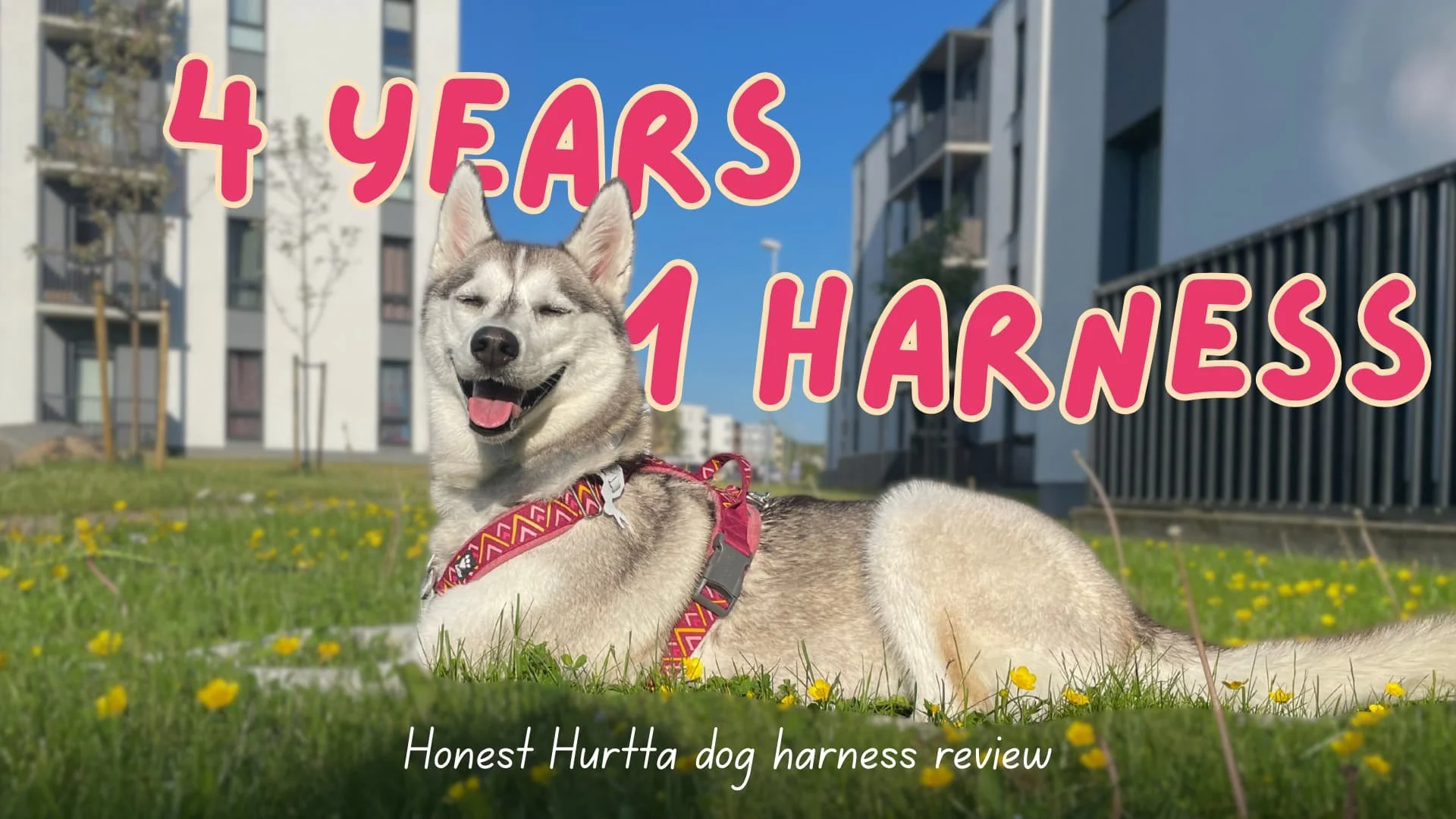 Is Hurtta dog harness good?