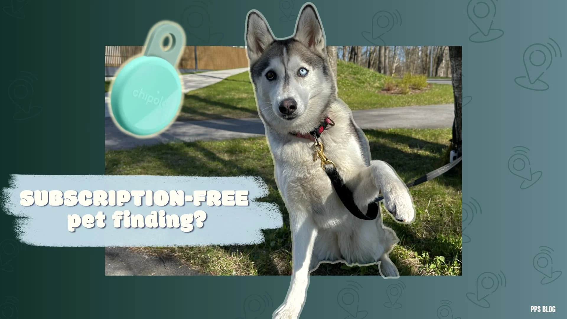 Chipolo Loop review: Is Chipolo good pet tracker