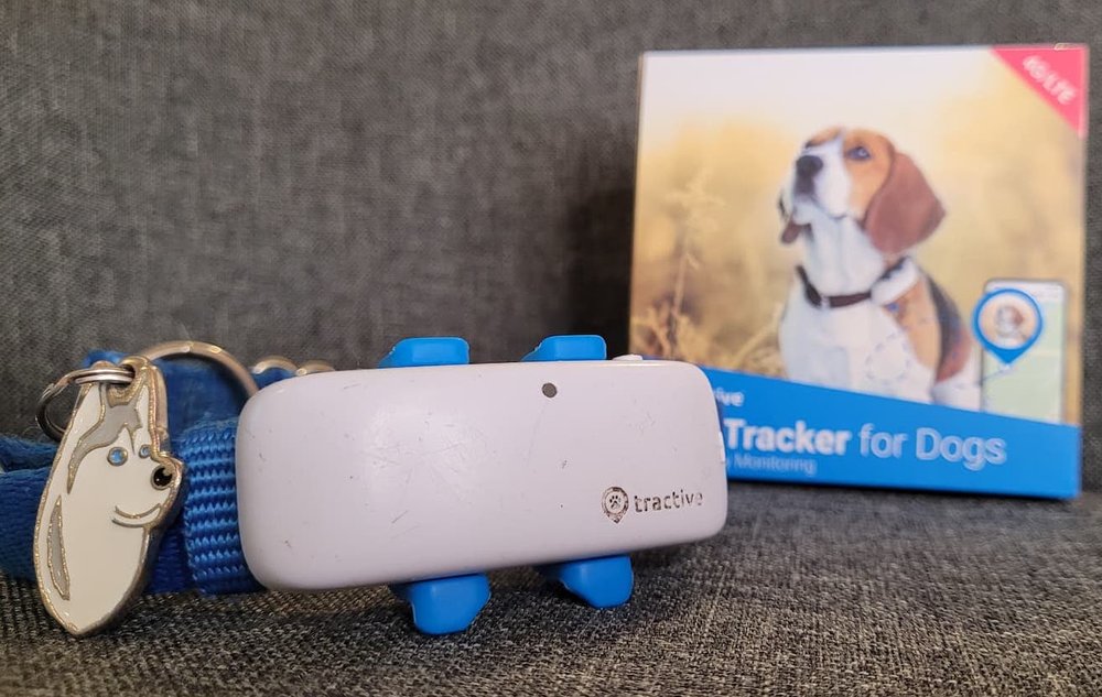 Mary Vædde kjole Tractive - GPS dog collar review — Pocket Puppy School