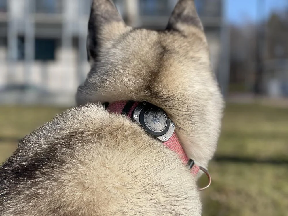 citiway airtag holder for pet collar