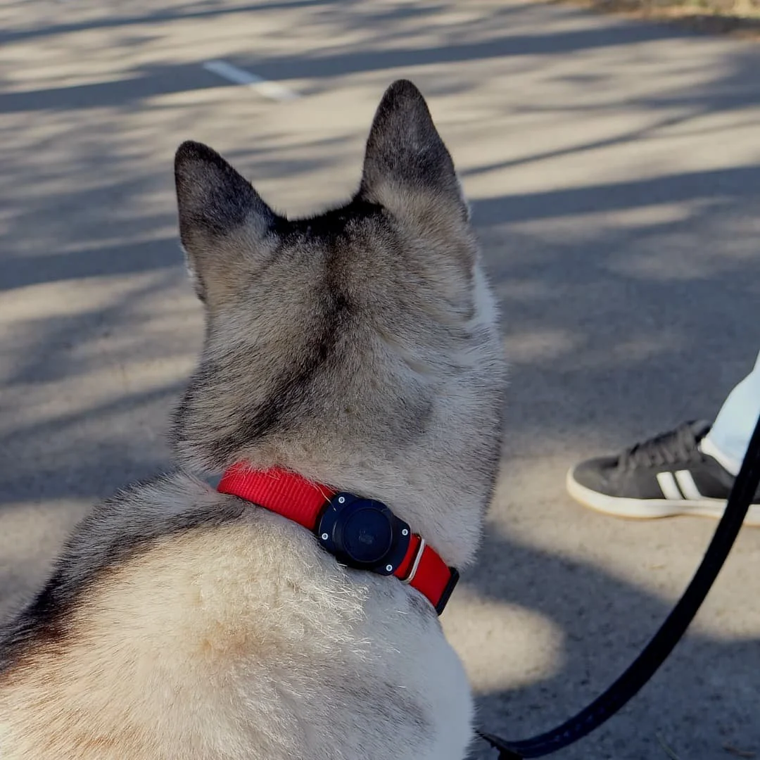 Cityway case for AirTag