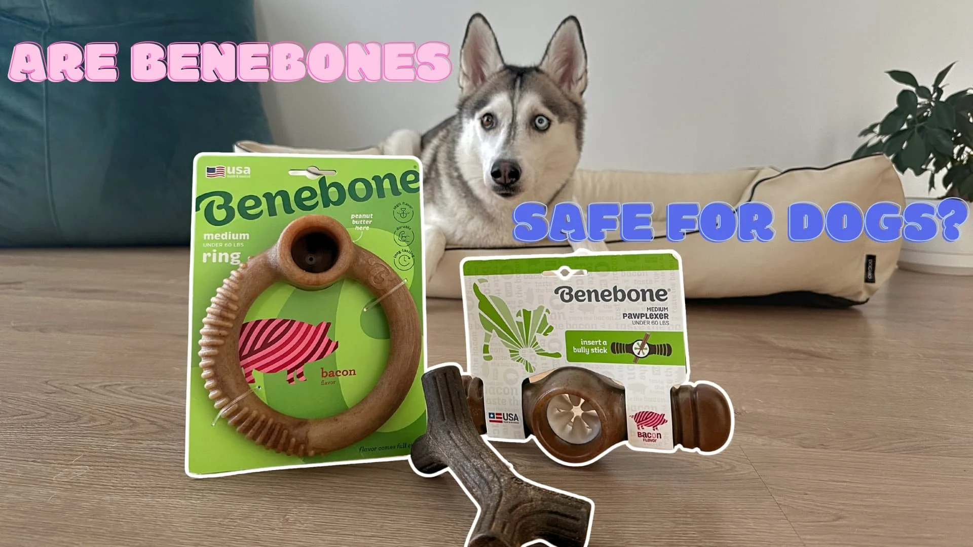 Are Benebones safe for dogs?