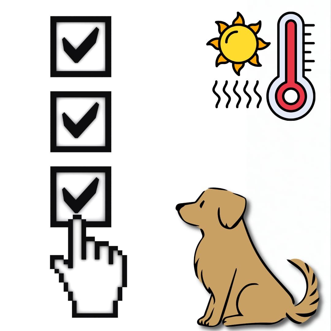 Print out checkout list what to do during heatwave to prevent heatstroke with dog