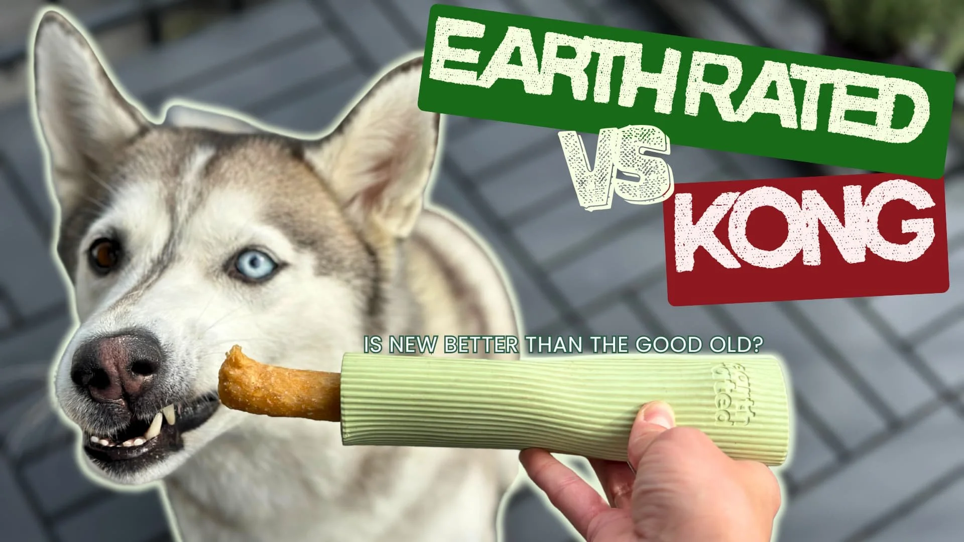 Earth Rated dog chew review_is Earth Rated better than KONG durable dog chew