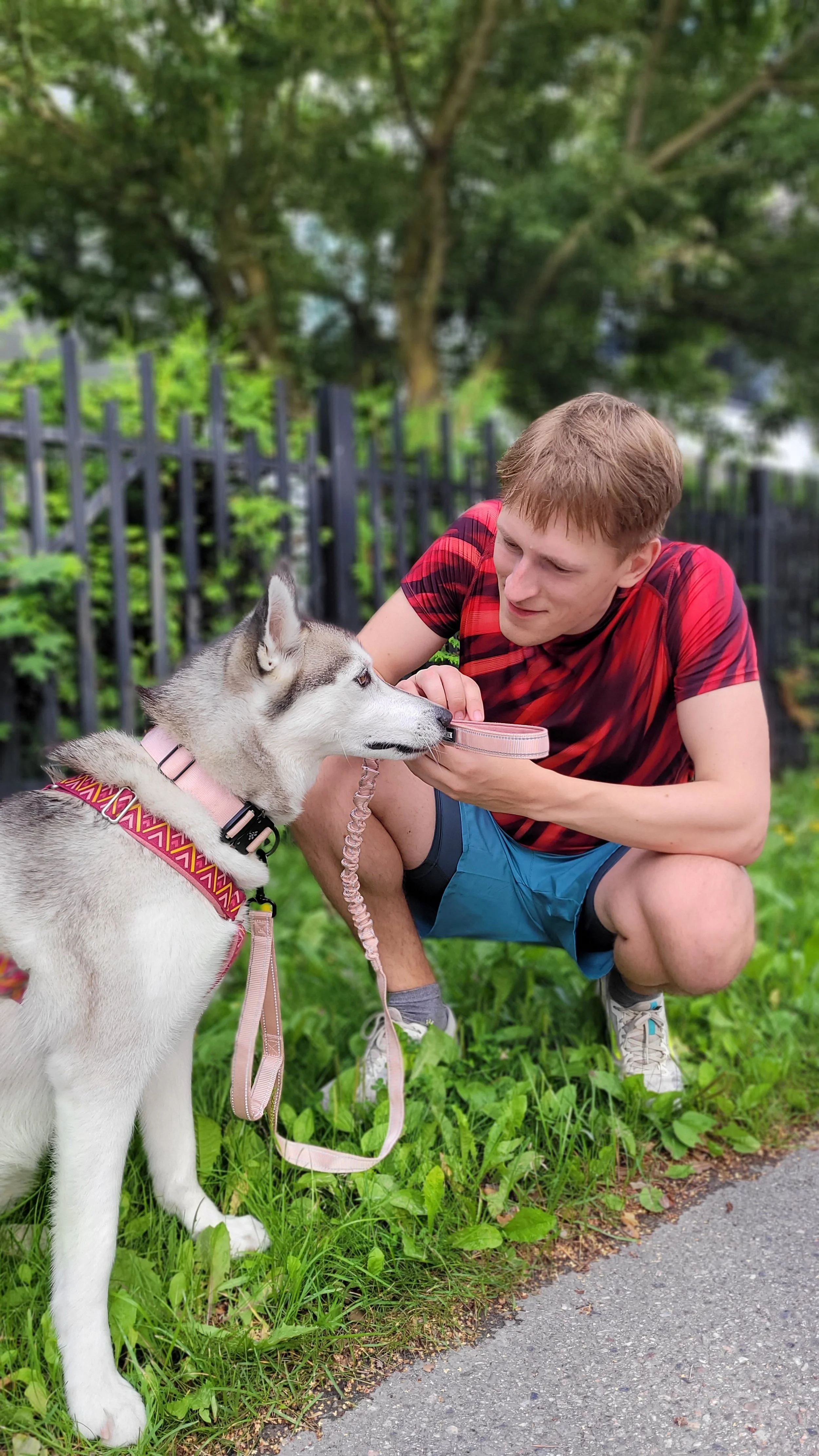 Husky and Keepaws collar