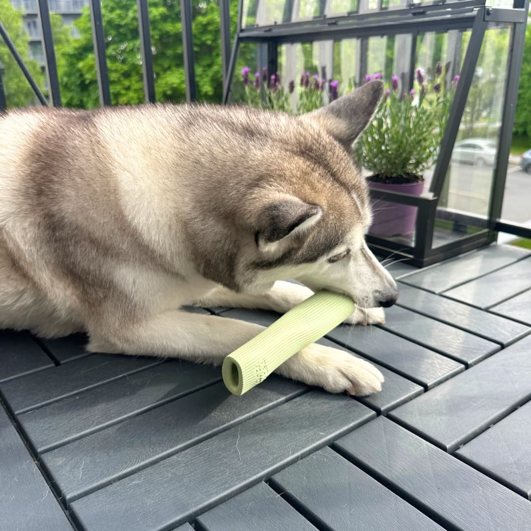 Earth Rated has bully stick safety hack