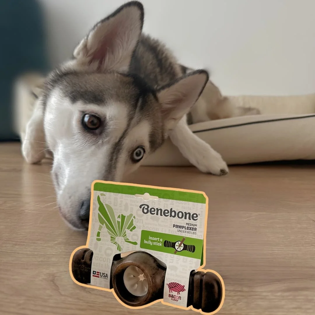 Benebone dog chew for dogs