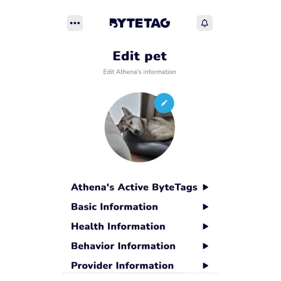 How to set up ByteTag smart pet tag — Pocket Puppy School