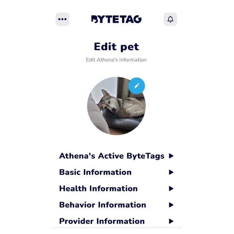 How to set up ByteTag smart pet tag — Pocket Puppy School