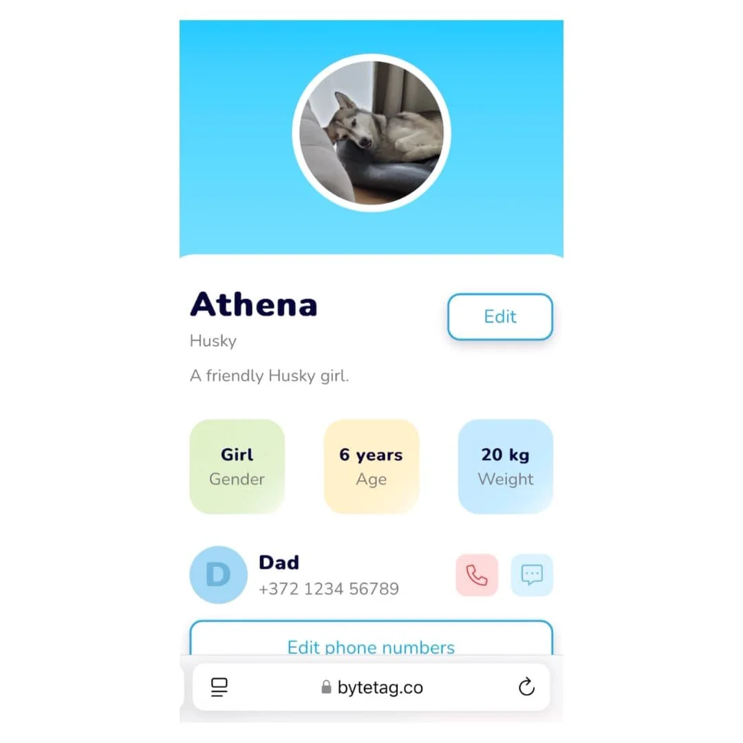 Refresh and update your information and your dog's photo within seconds