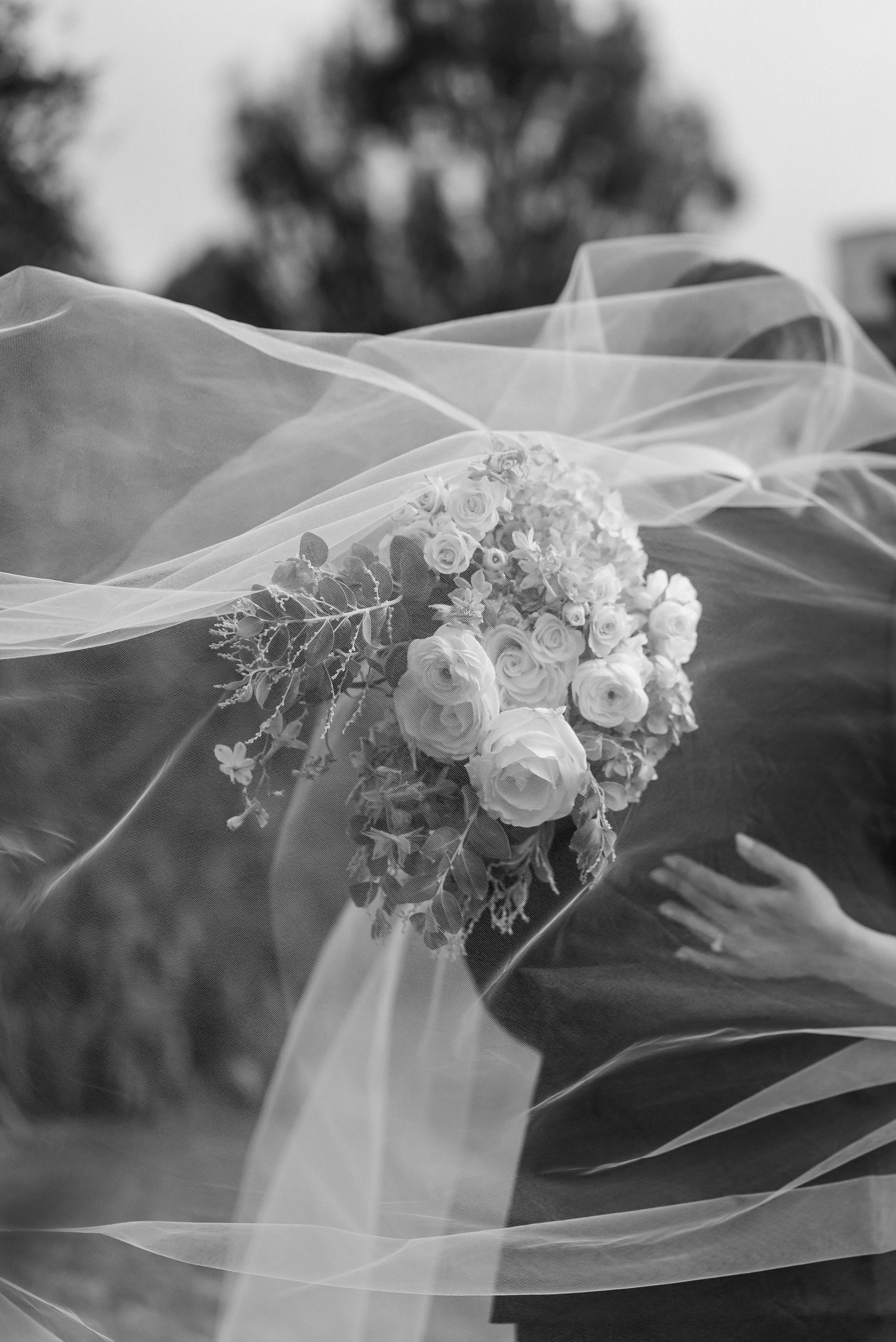 Lydia & Angus - Sneak Peek-31.jpg