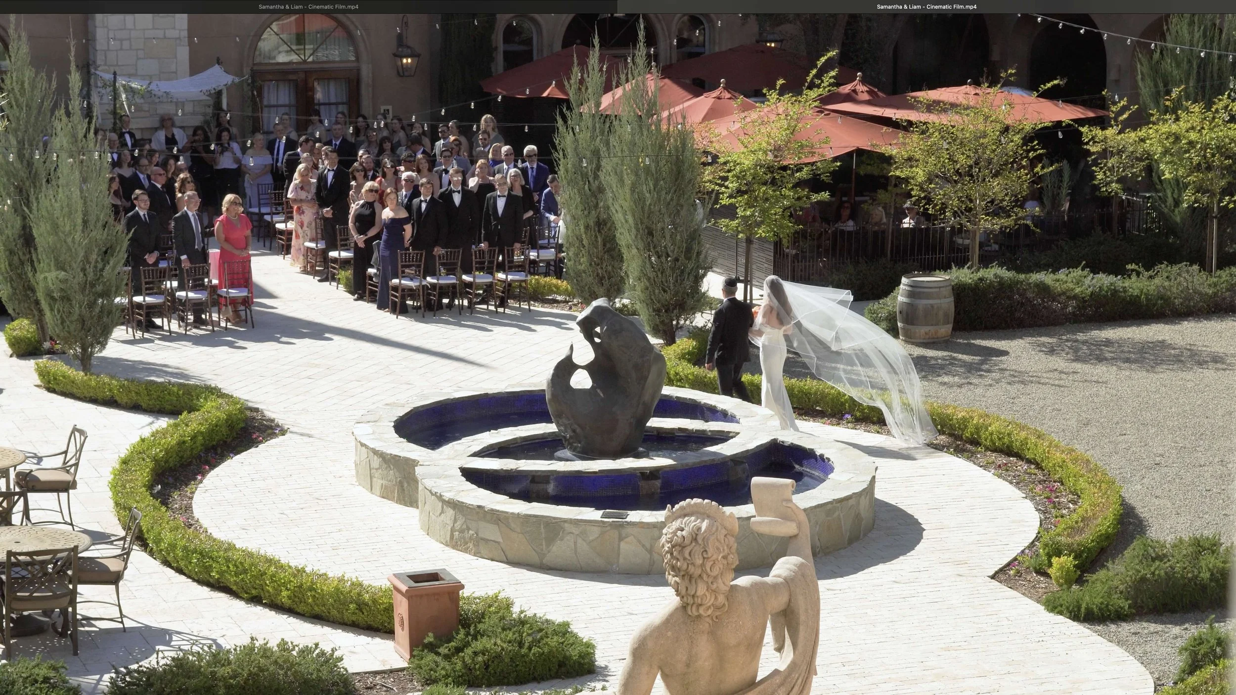 Allegretto Vineyard | S + L