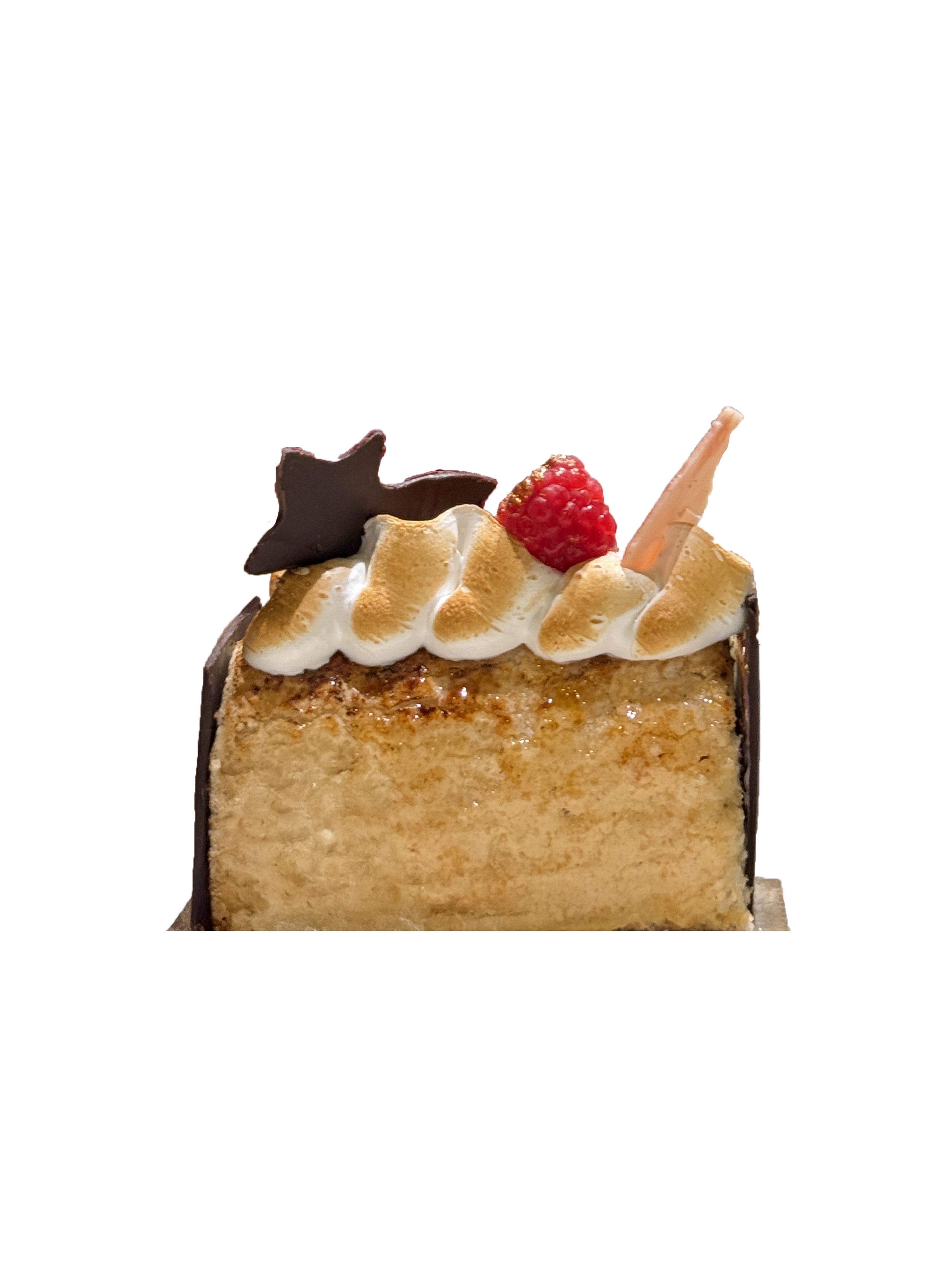 RASPBERRY DÉLICE Christmas Yule Log Individual