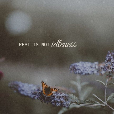 &ldquo;Rest is not idleness.&rdquo;
- John Lubbock

The body knows what the mind forgets.
That exhale you&rsquo;ve been holding back?
Those shallow breaths, caught in the web of stress?

They matter.

The pause between things - it&rsquo;s sacred grou