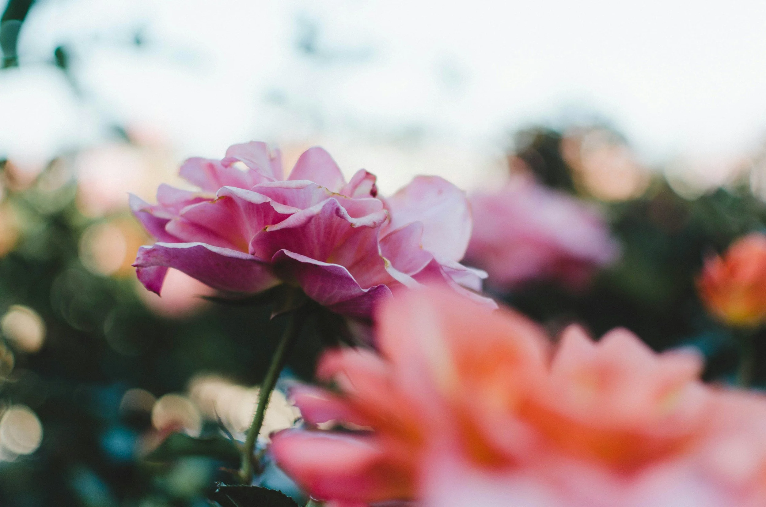 The feminine isn’t linear, she flows