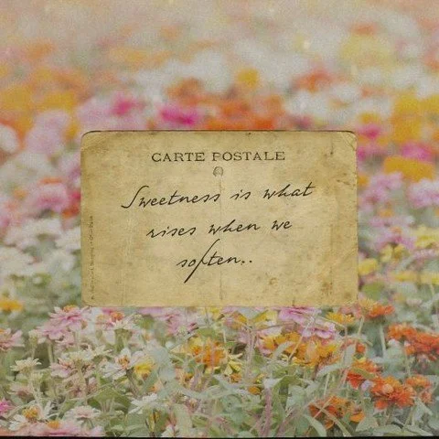✨ On Sweetness ✨

Sweetness isn&rsquo;t something we add to life. It&rsquo;s what rises when we soften. When we pause long enough to feel the breath,
to move without striving,
to let the body flow as it was made to.

Over the next few weeks, our clas