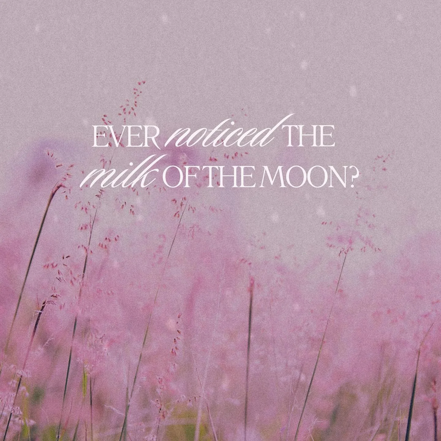 Have you ever noticed there&rsquo;s a moment before sunrise when the world feels charged?

After the moon has poured out her light - her loving, cool nectar - something hushed remains in the early morning glow, a soft, pearlescent peace.

The mystics