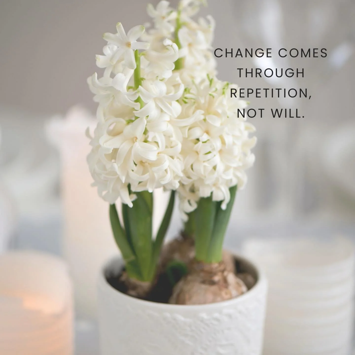 I&rsquo;m not really a New Year person. Spring feels more honest - when sap rises, seeds unfurl, and life actually begins again.

But there is something about January. The quiet after excess.
Decorations put away. A clear feeling. Like white hyacinth