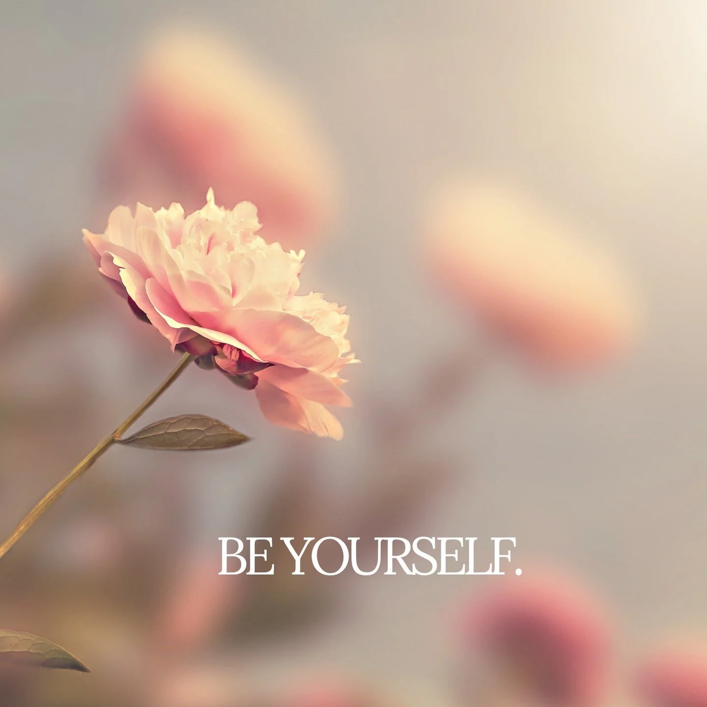 There is an intrinsic intimacy 
between self and divinity.

Between you 
and what moves through you.

Between your life, 
and the light that illuminates you.

Be yourself. 
Shine incandescently. 
And bloom.

#livedphilosophy
#embodiedspirituality
#al