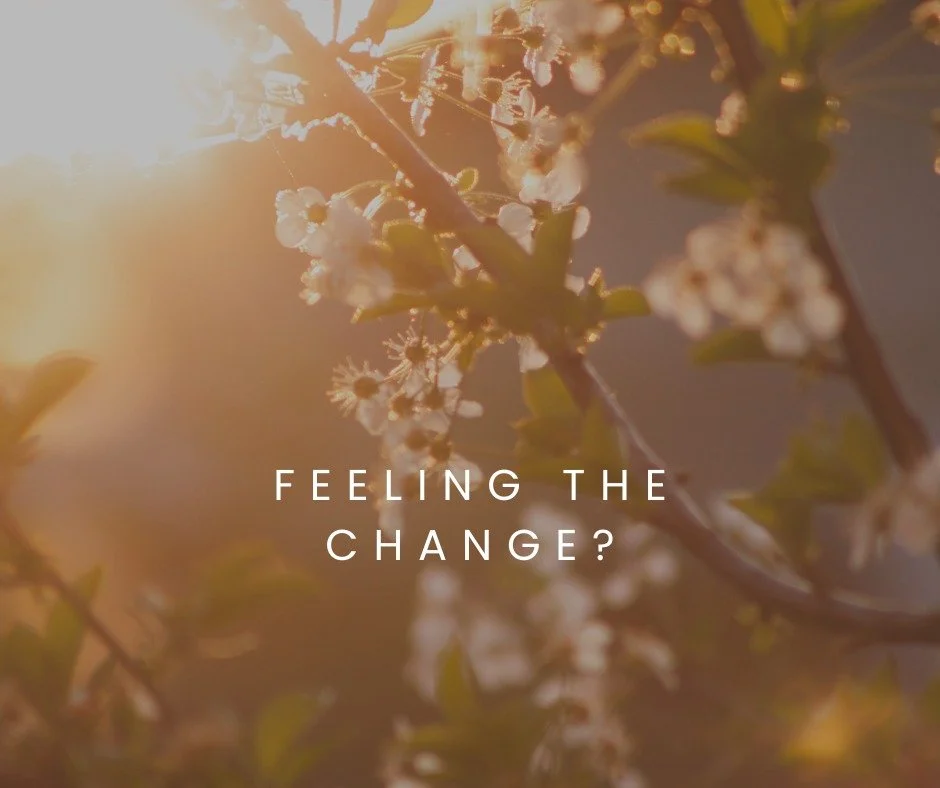 Feeling the change? 
The cautious arrival of spring?

This is the time to stay warm - keep the woolies on - while gently stimulating circulation and clearing stagnation, and being mindful of your nervous system.

The sweet spot right is warm and slig