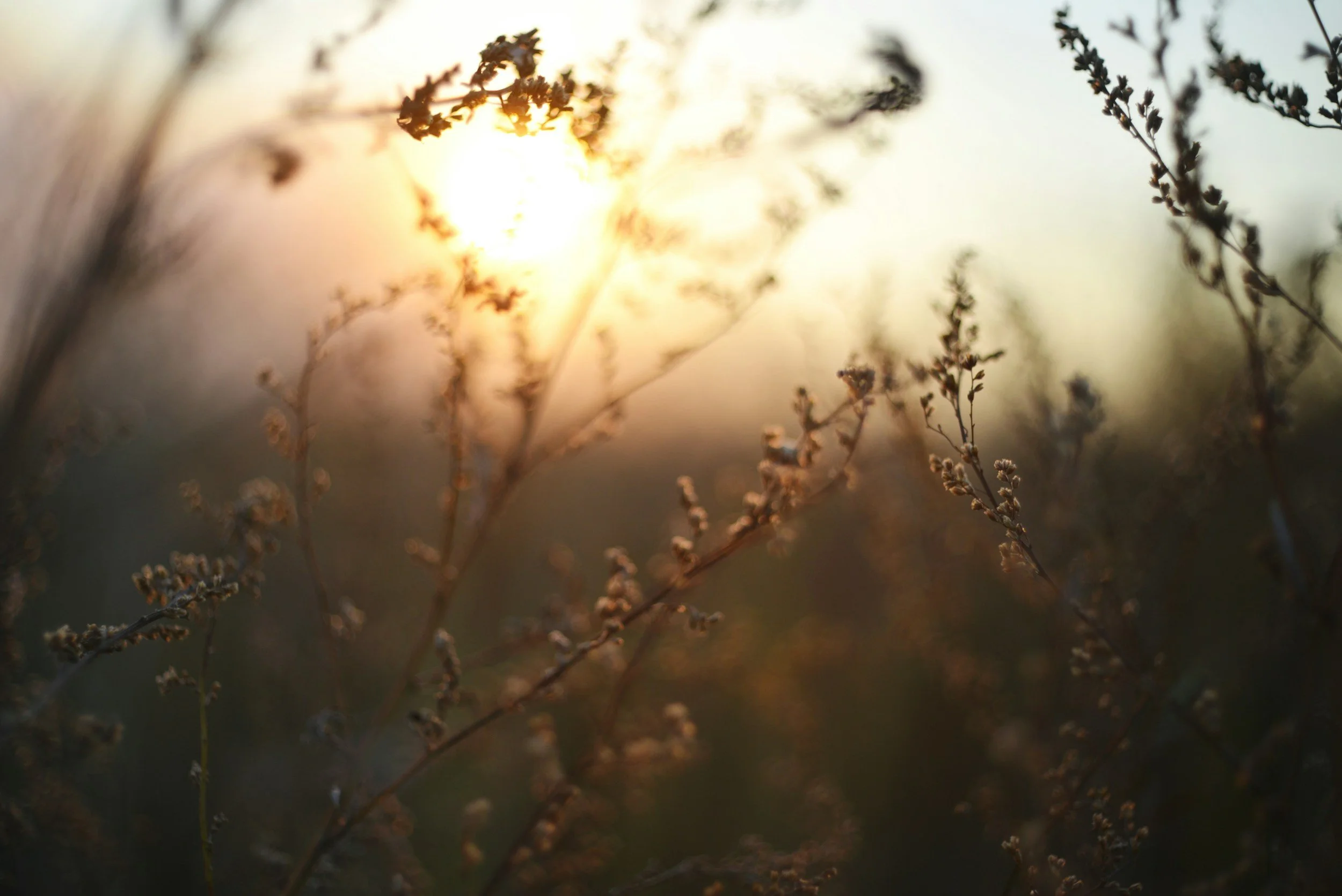 What If You Pushed Through?