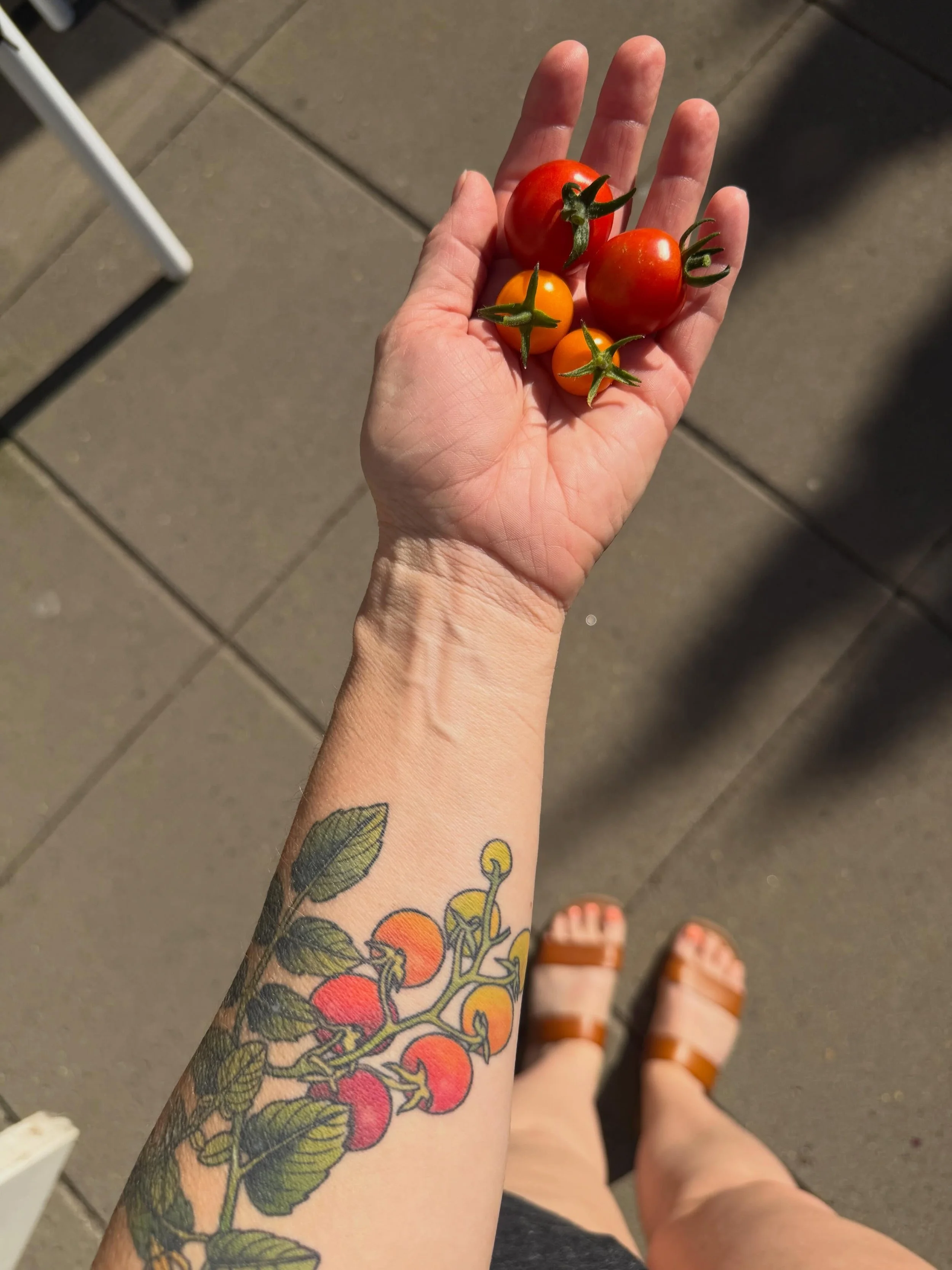 My series titled &ldquo;Things I grow in my garden, then decide to get tattoos of them so I can enjoy them year-round. Or vice versa.&rdquo; Basically, I live for garden season (and great tattoos thank you @savvytattoos and @broadleaf_tattoo )

Soaki