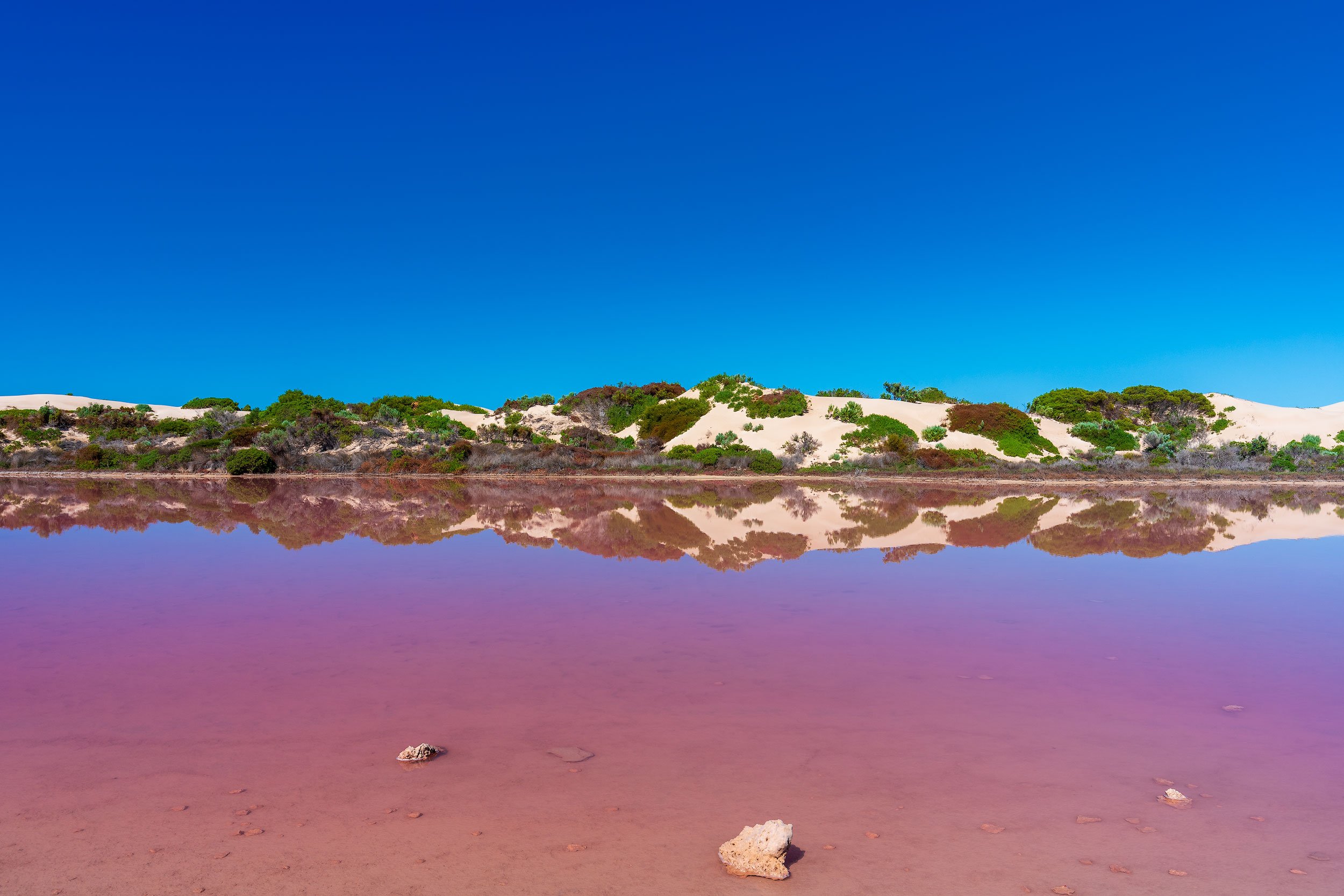 Lake Macdonnell - IMG9936