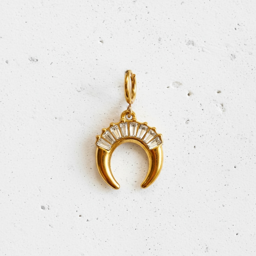 HORSE SHOE Charm