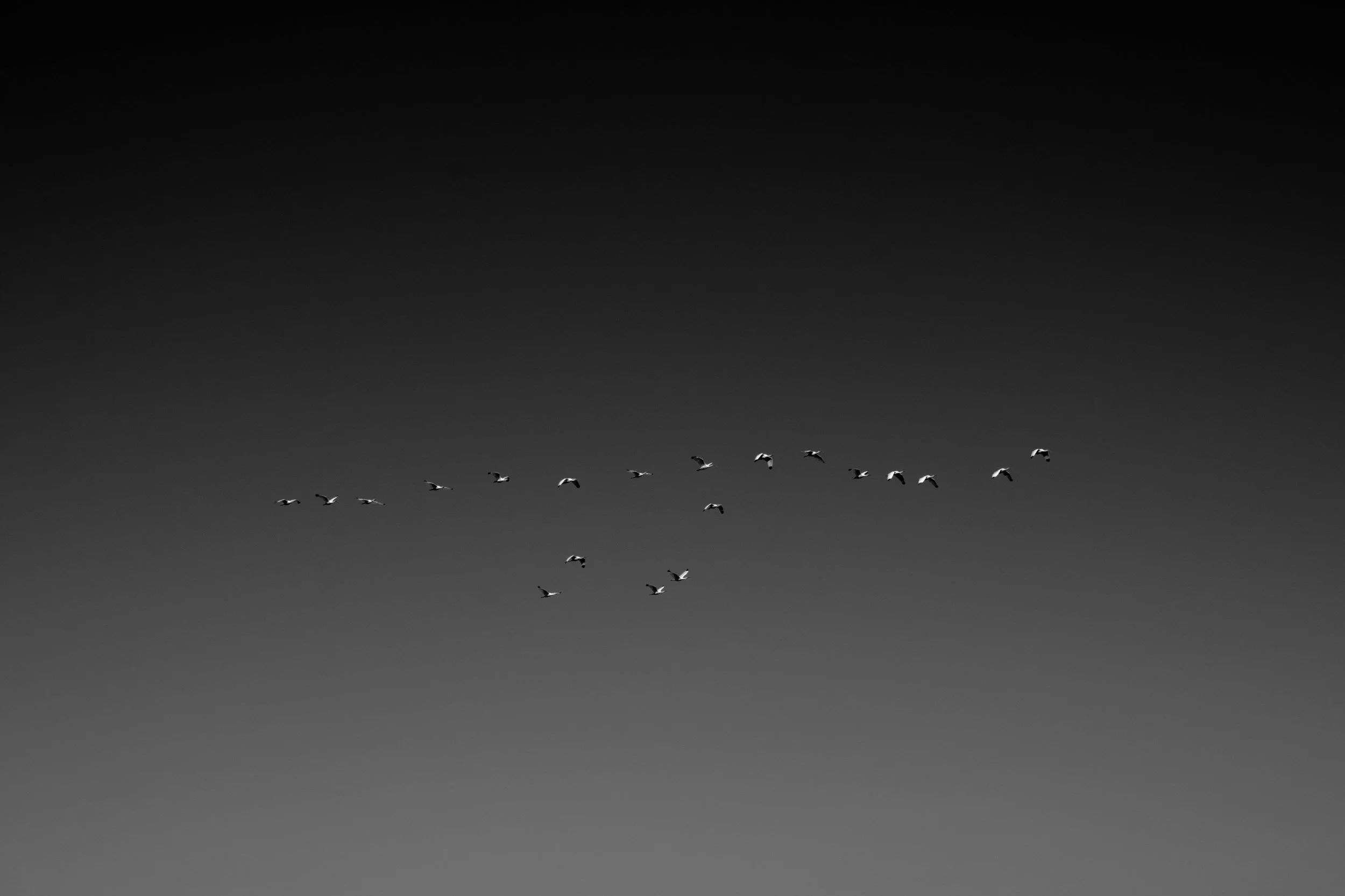 010618_54-3.JPG