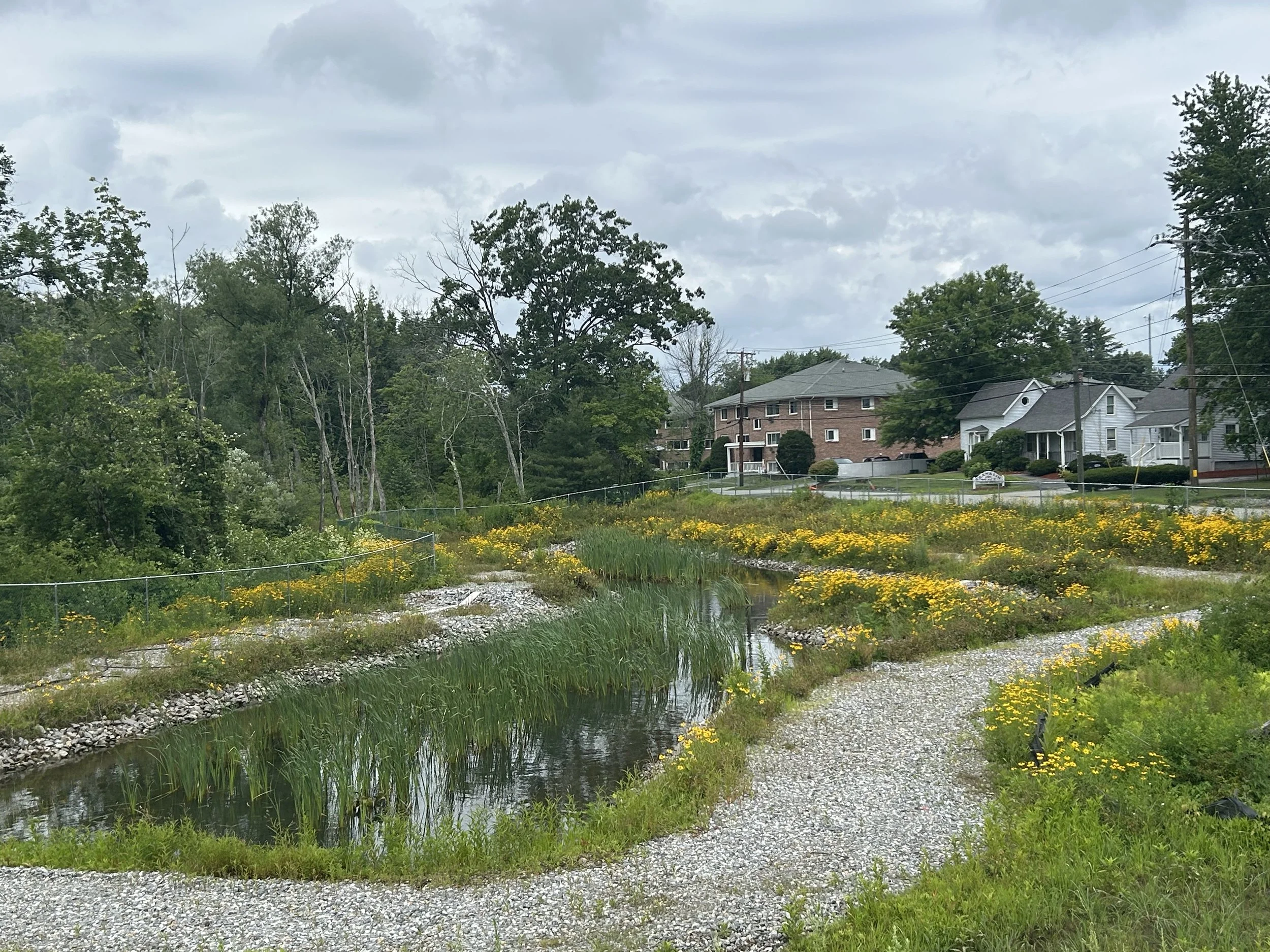 July 2026: Shields Brook stormwater basin site