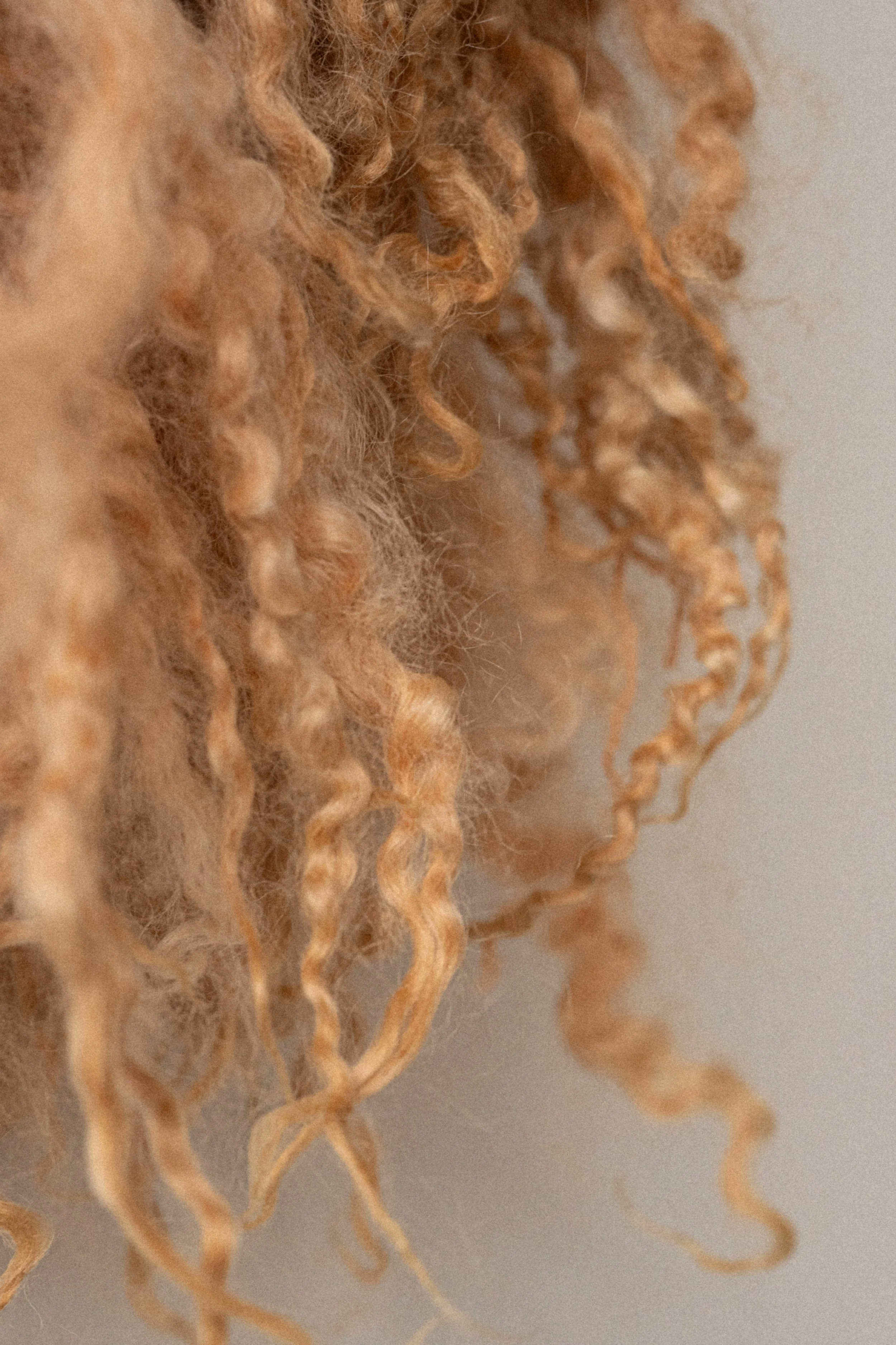 Tapestry-Exhibition (40 of 51).jpg