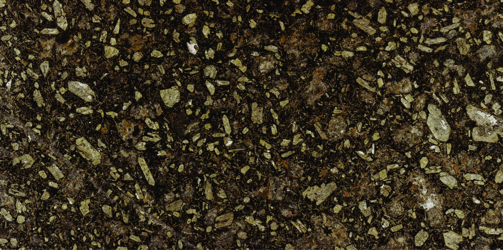 Thin section scan of an igneous dike in the fluorspar district.