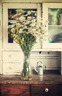 Delighting in Sunday