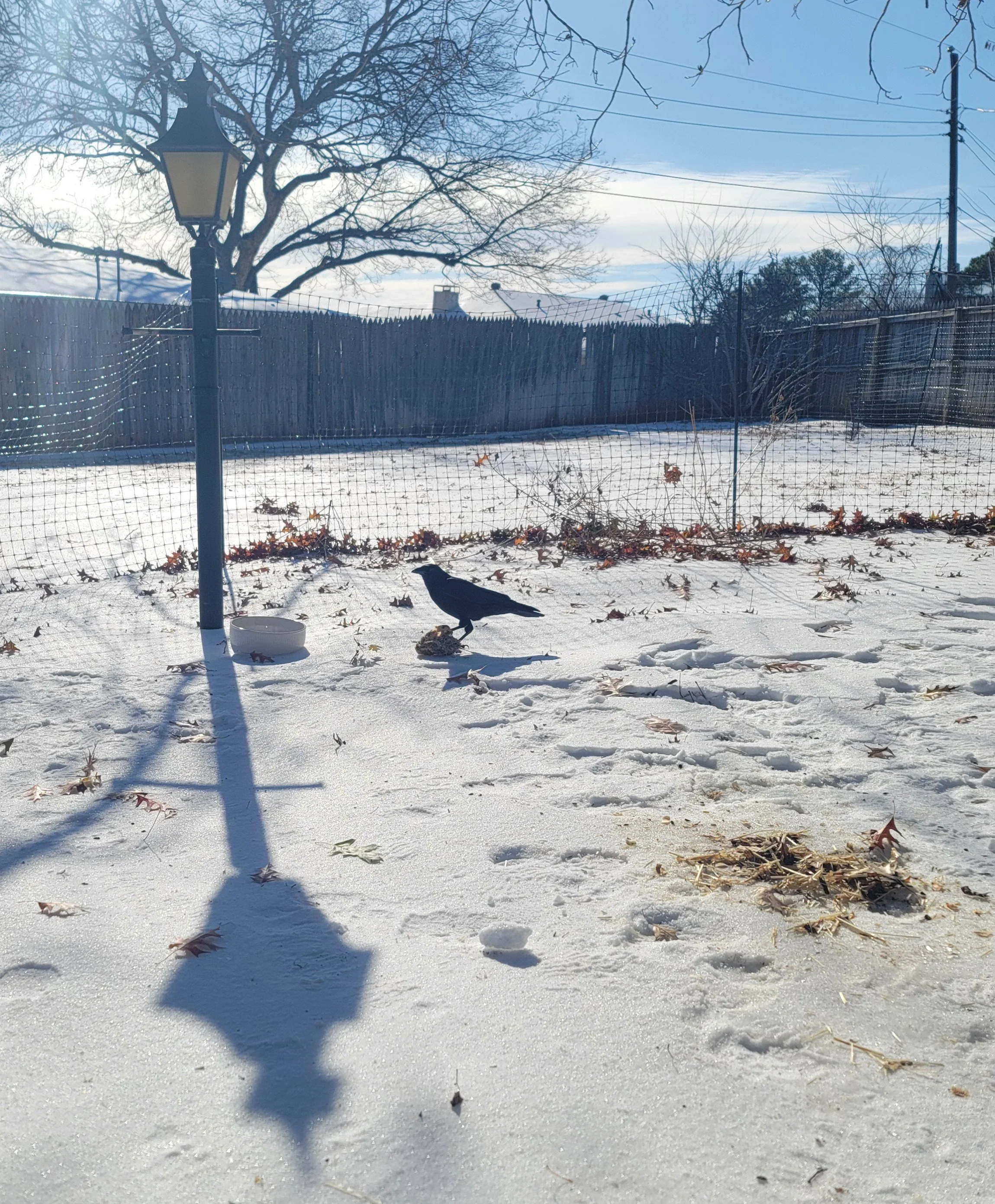 The Oddity of the Inner Life of the Author: Seasonal Settings