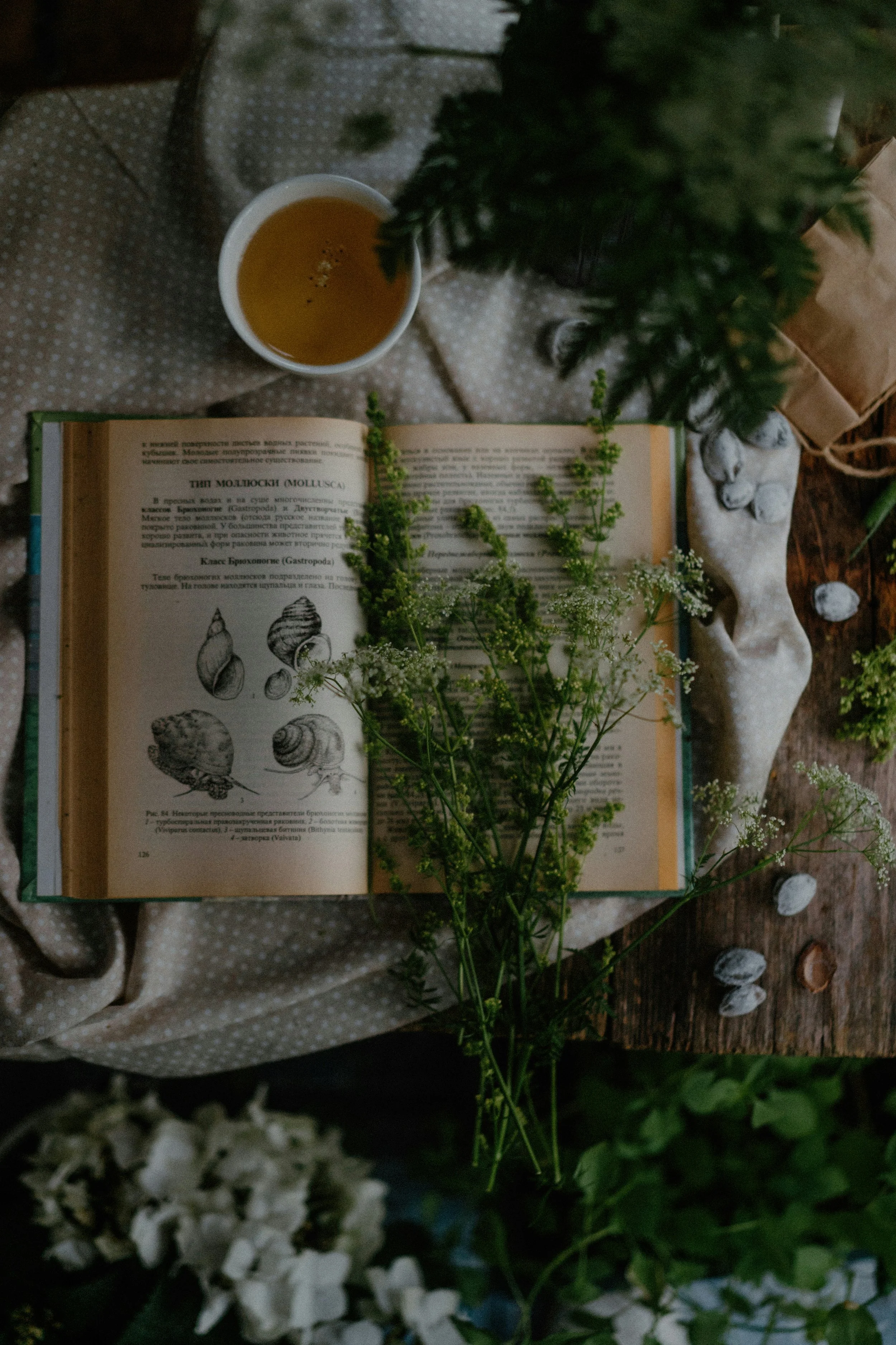 The Oddity of the Inner Life of the Author: Post-Publishing Discoveries